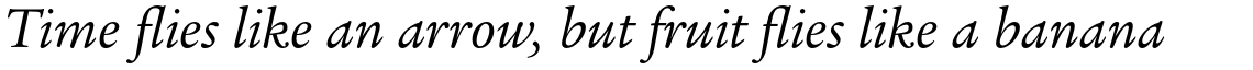 ITC Legacy Serif Pro Book Italic
