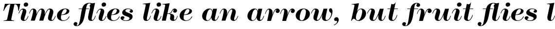 ITC Modern No. 216 Std Bold Italic