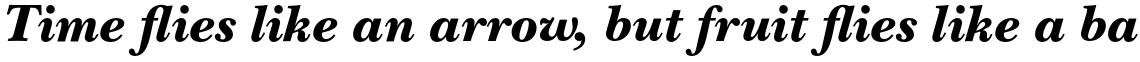 ITC New Baskerville Std Black Italic