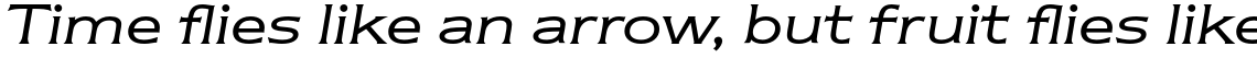 ITC Newtext Std Book Italic