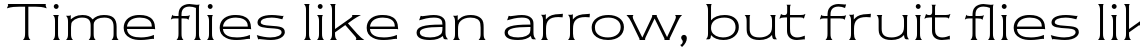 ITC Newtext Std Light