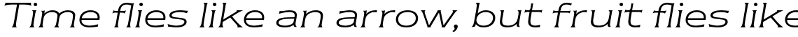ITC Newtext Std Light Italic