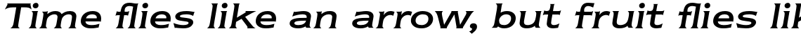 ITC Newtext Std Regular Italic