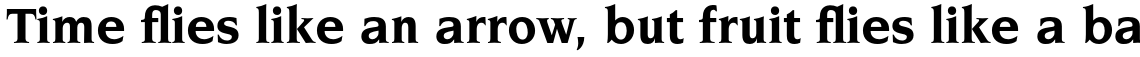 ITC Novarese Std Bold