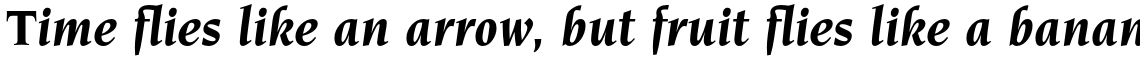 ITC Novarese Std Bold Italic