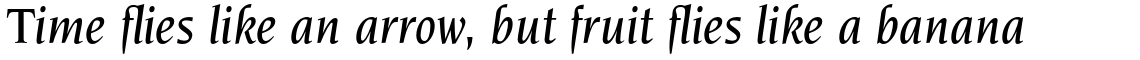 ITC Novarese Std Medium Italic