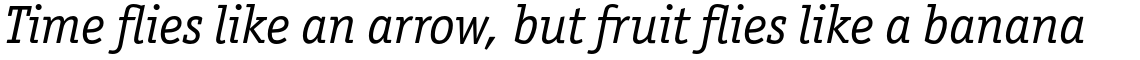ITC Officina Serif Std Book Italic
