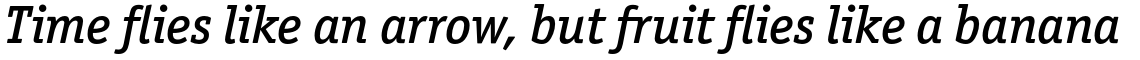 ITC Officina Serif Std Medium Italic