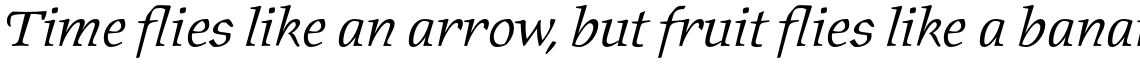 ITC Oldrichium Std Light Italic