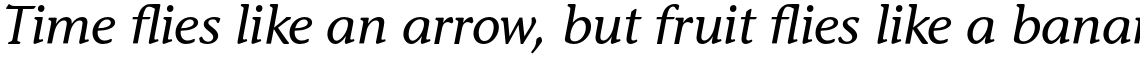 ITC Stone Informal Std Italic