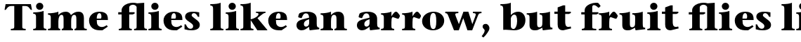 ITC Stone Serif Std Bold