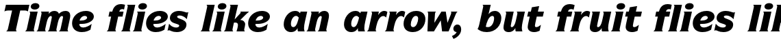 ITC Symbol Std Black Italic