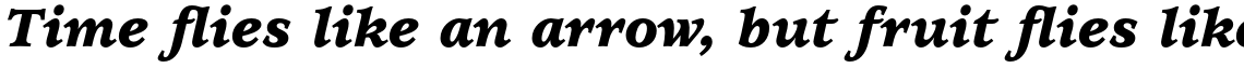 ITC Usherwood Std Black Italic