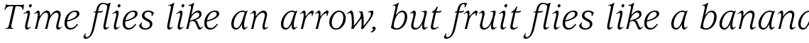 ITC Usherwood Std Book Italic