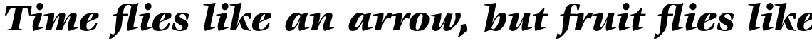 ITC Veljovic Std Black Italic