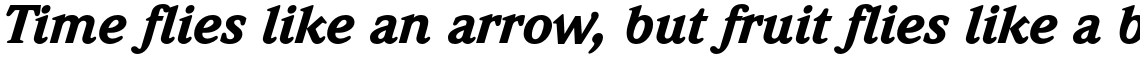 ITC Weidemann Std Black Italic