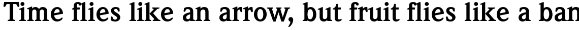 ITC Weidemann Std Bold