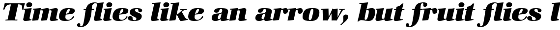 ITC Zapf Book Std Heavy Italic