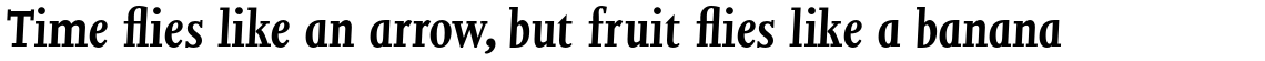 Joanna Std Bold Italic