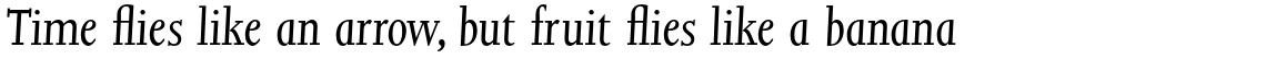 Joanna Pro Italic