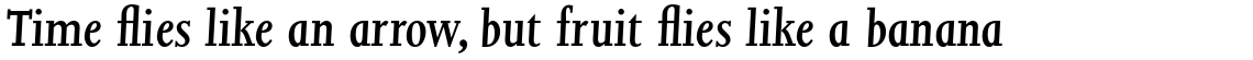 Joanna Std Semi Bold Italic