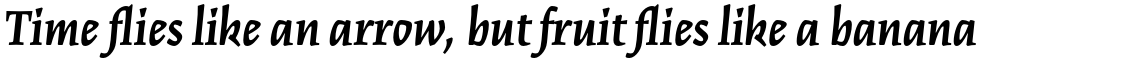 Kinesis Std Bold Italic