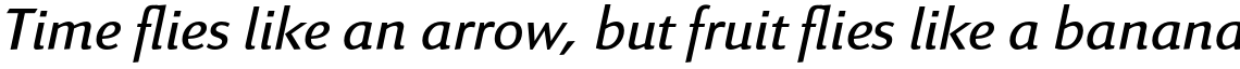Linex Sans Std Light Italic
