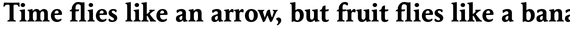 Maxime Std Bold