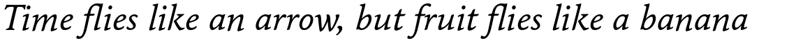 Maxime Std Italic
