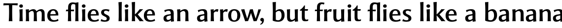 Mentor Sans Std Regular