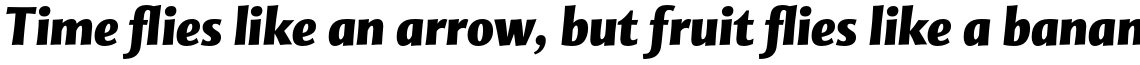 Mentor Sans Std Black Italic