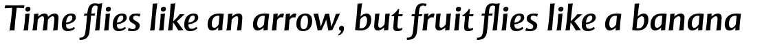 Mentor Sans Std Italic