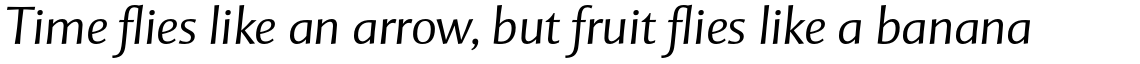 Mentor Sans Std Light Italic