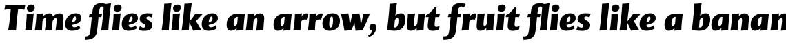 Mentor Sans Pro Black Italic