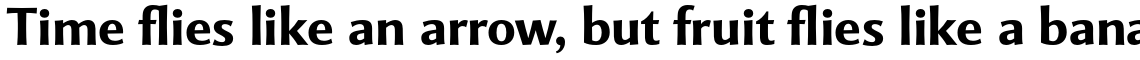 Mentor Sans Pro Bold