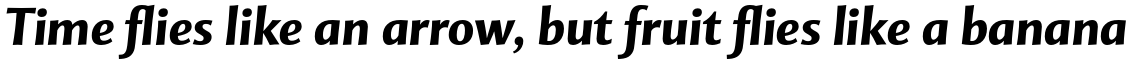 Mentor Sans Pro Bold Italic