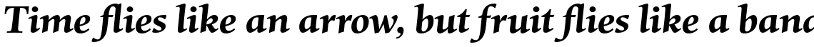 Mentor Std Bold Italic