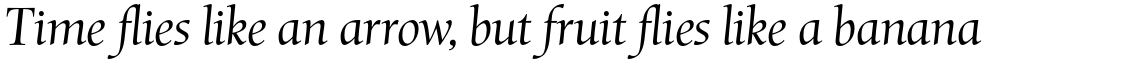 Mentor Std Light Italic