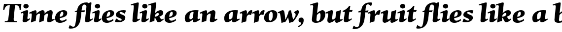 Mentor Pro Black Italic