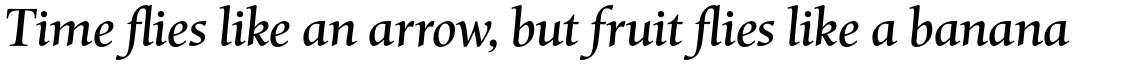 Mentor Pro Italic