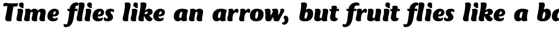 Mercurius Std Black Italic
