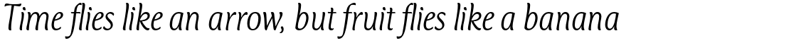 Mercurius Std Light Italic