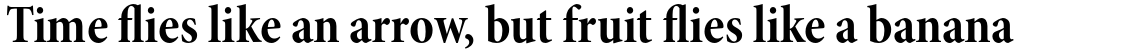Minion Pro Bold Condensed Subhead
