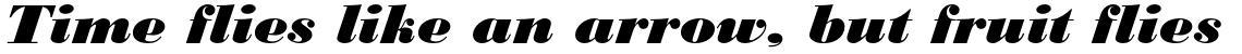 Monotype Bodoni Std Black Italic