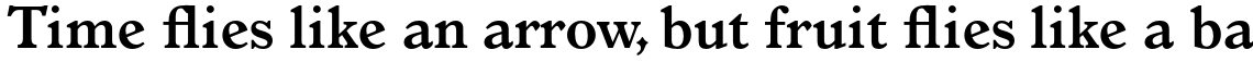 Monotype Italian Old Style Std Bold