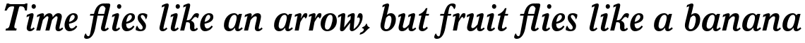 Monotype Italian Old Style Std Bold Italic