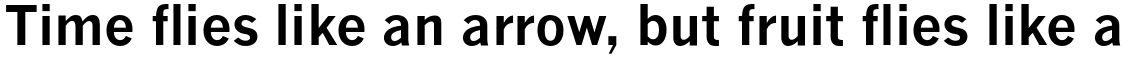 Monotype News Gothic Pro Bold