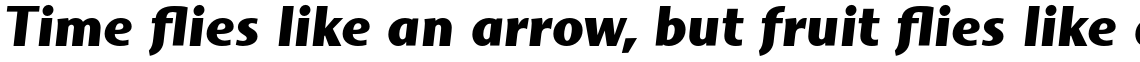 Mosquito Formal Std Black Italic