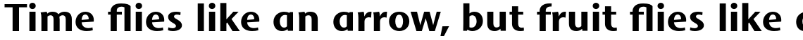 Mosquito Formal Std Bold