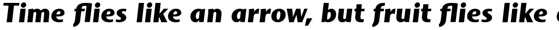 Mosquito Formal Pro Black Italic